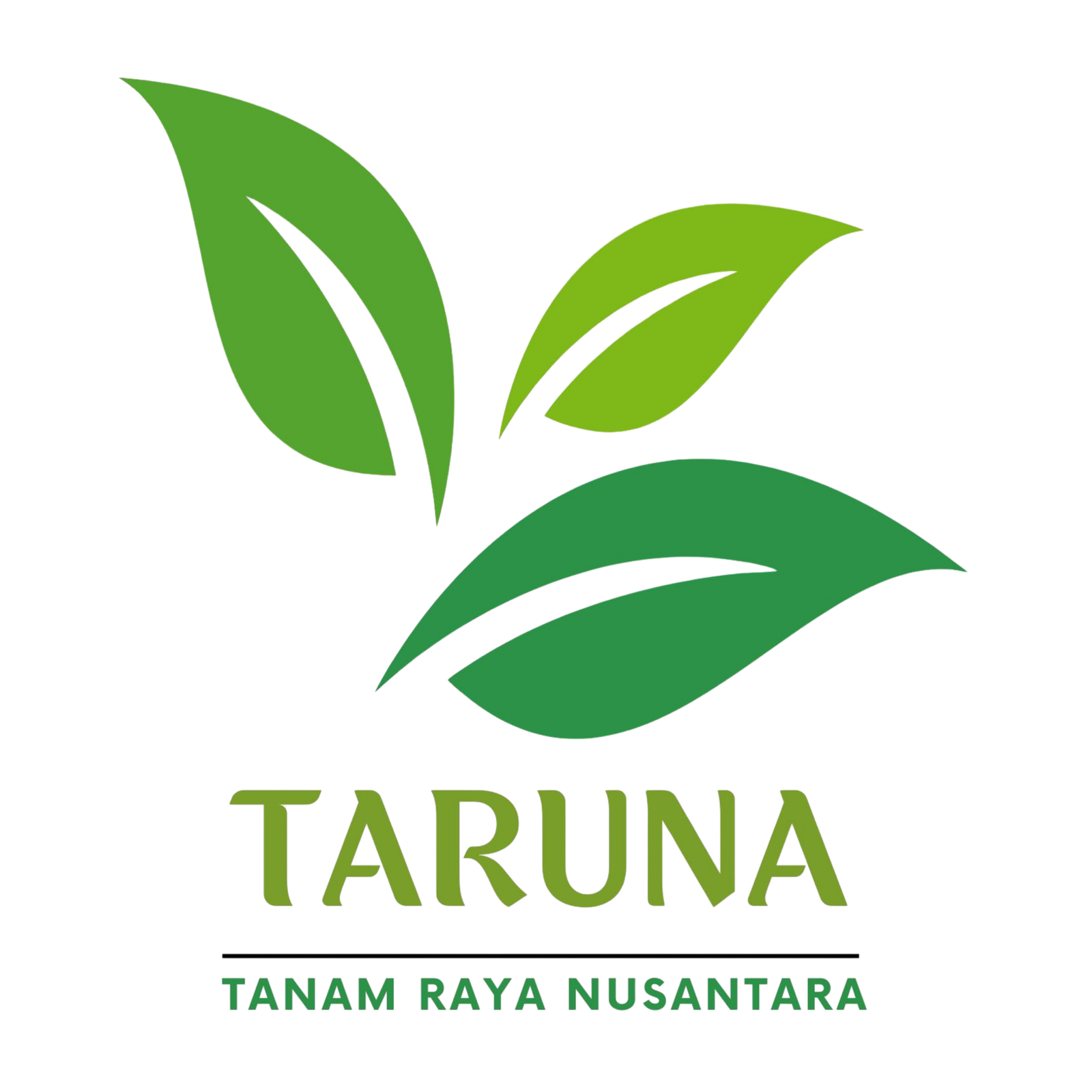 PT Tanam Raya Nusantara